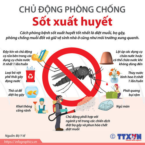 Khuyến cáo phòng chống bệnh sốt xuất huyết Dengue