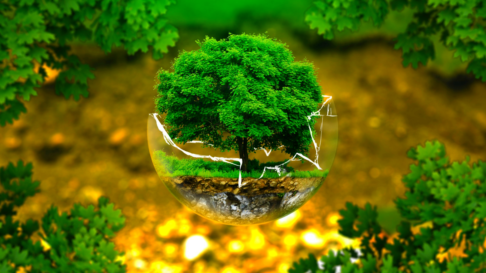 moi-truong-la-gi_0409165027.png