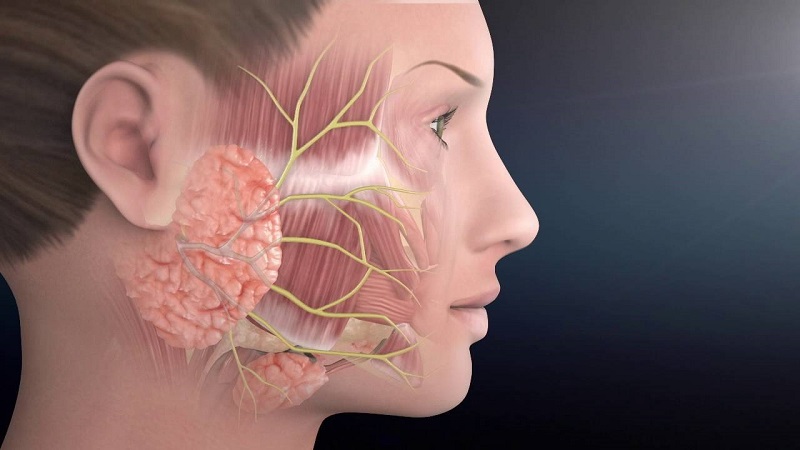  ĐIỀU TRỊ LIỆT DÂY THẦN KINH SỐ 7 NGOẠI BIÊN “KHÔNG KHÓ” CÙNG BS YHCT – BVĐK THIỆU HÓA