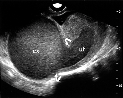 image012.png