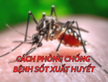  BÁC SĨ BVĐK THIỆU HÓA HƯỚNG DẪN CÁCH PHÒNG BỆNH SỐT XUẤT HUYẾT