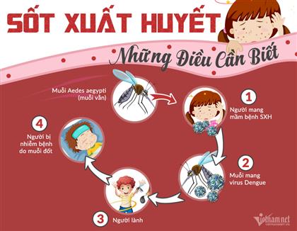 CẢNH BÁO NHỮNG DẤU HIỆU NGUY HIỂM CỦA BỆNH LÝ SỐT XUẤT HUYẾT