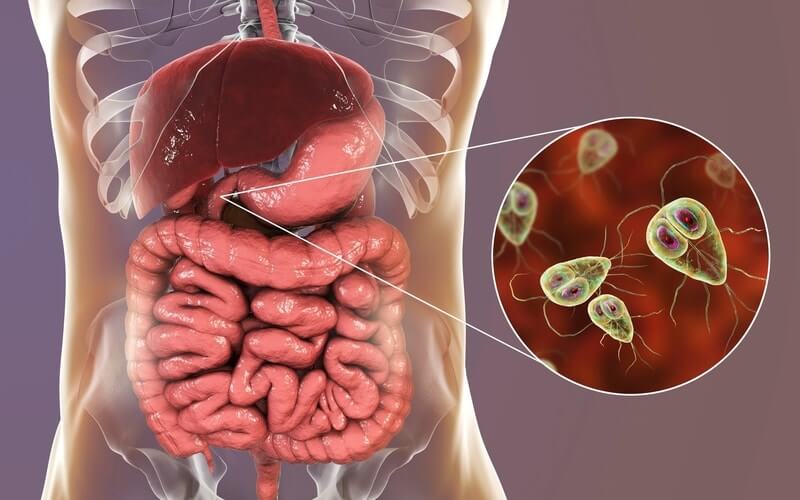 “CHÚ Ý” DẤU HIỆU CẦN XÉT NGHIỆM KÝ SINH TRÙNG Ở NGƯỜI