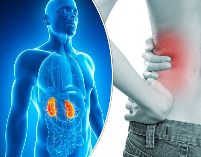 DẤU HIỆU CẢNH BÁO THẬN ĐANG GẶP VẤN ĐỀ