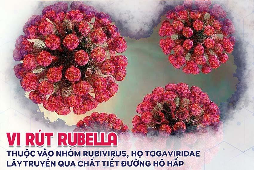  NHIỀU TRƯỜNG HỢP MẮC RUBELLA, DẤU HIỆU NÀO NHẬN BIẾT BỆNH SỚM?