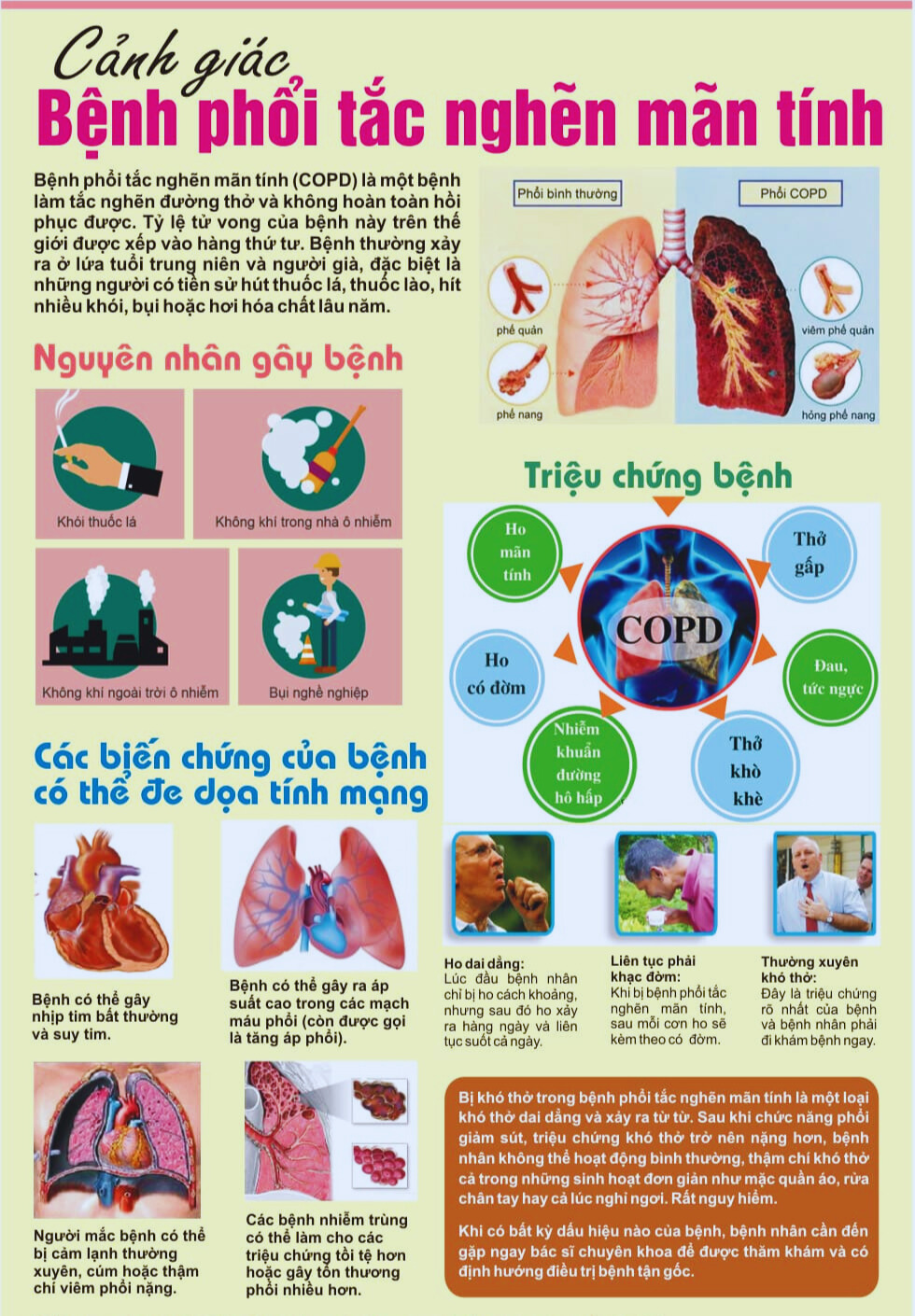 53a0ce56-6ddb-4538-82df-83d8bd560f37.jpg